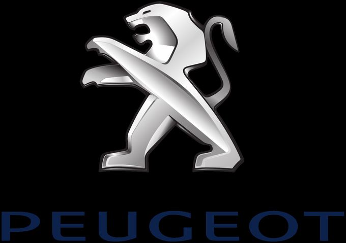 DIRECTION ASSISTEE PEUGEOT 